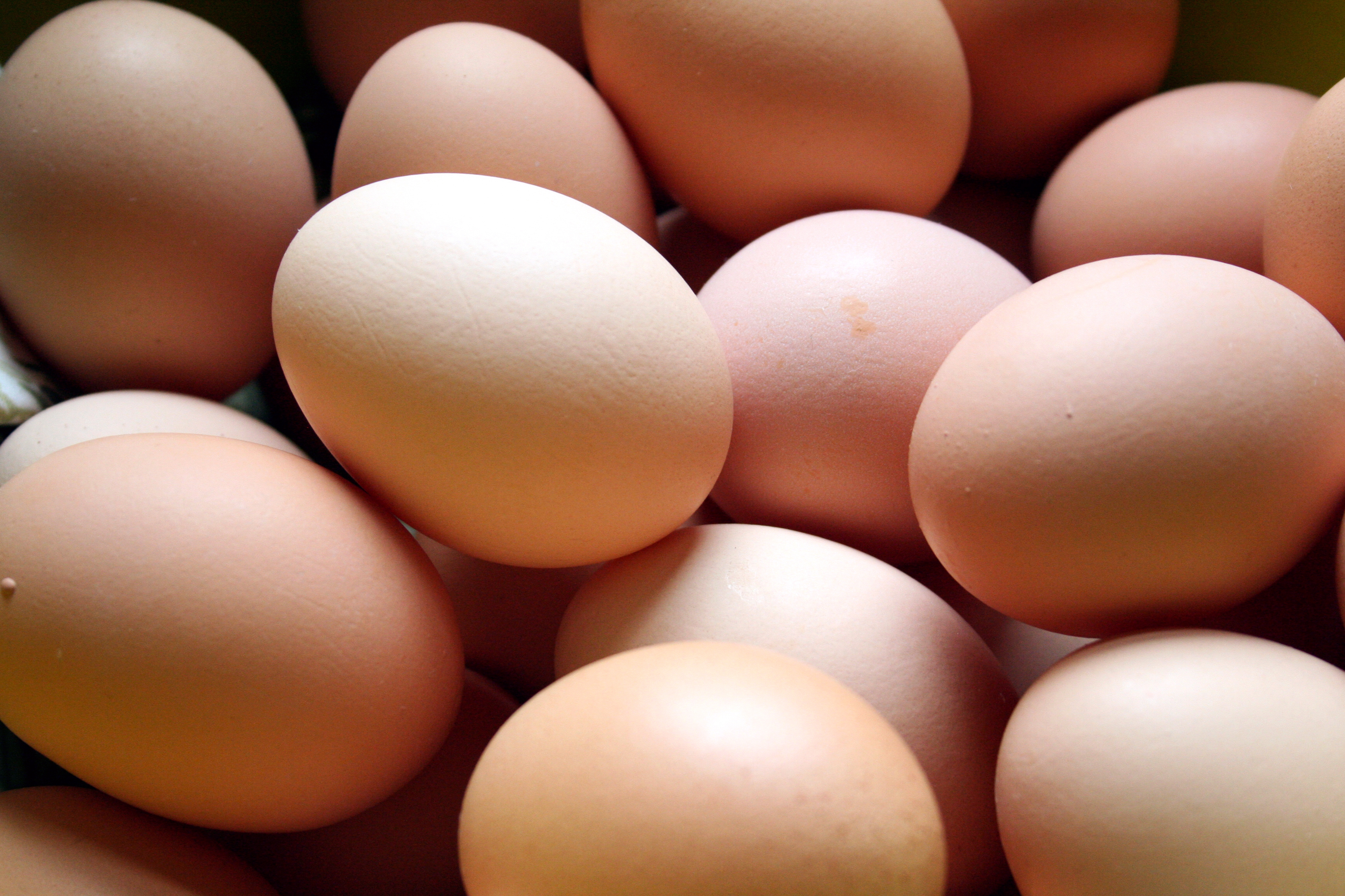 Welfare-conscious consumers are urged to avoid purchasing large eggs