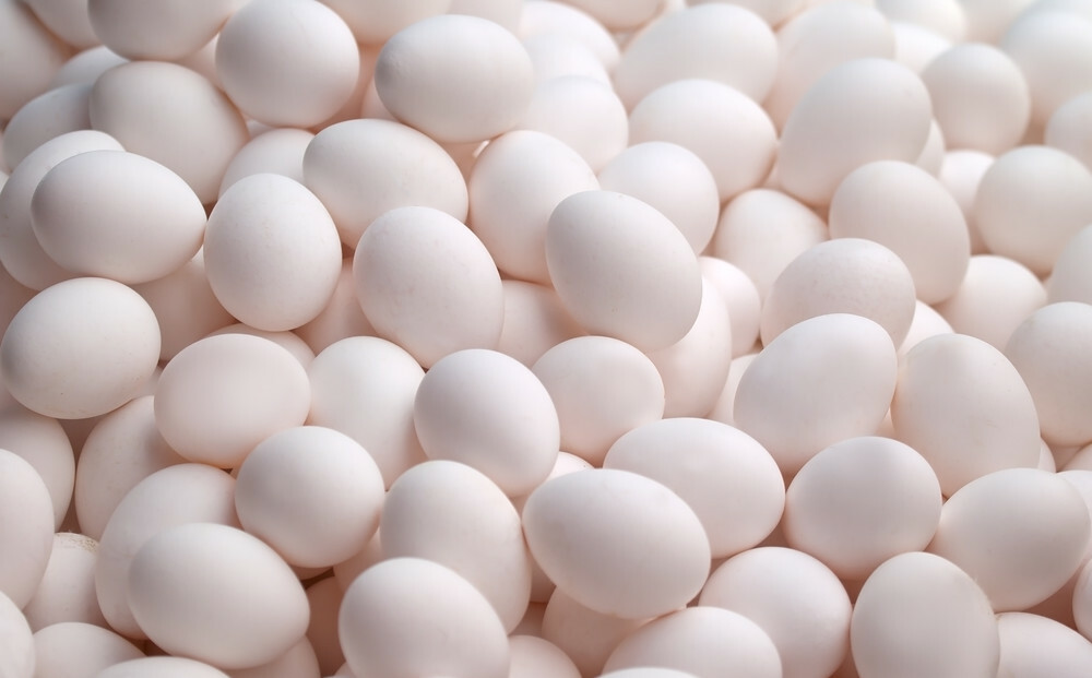 Brazil egg exports triple in first half of 2025