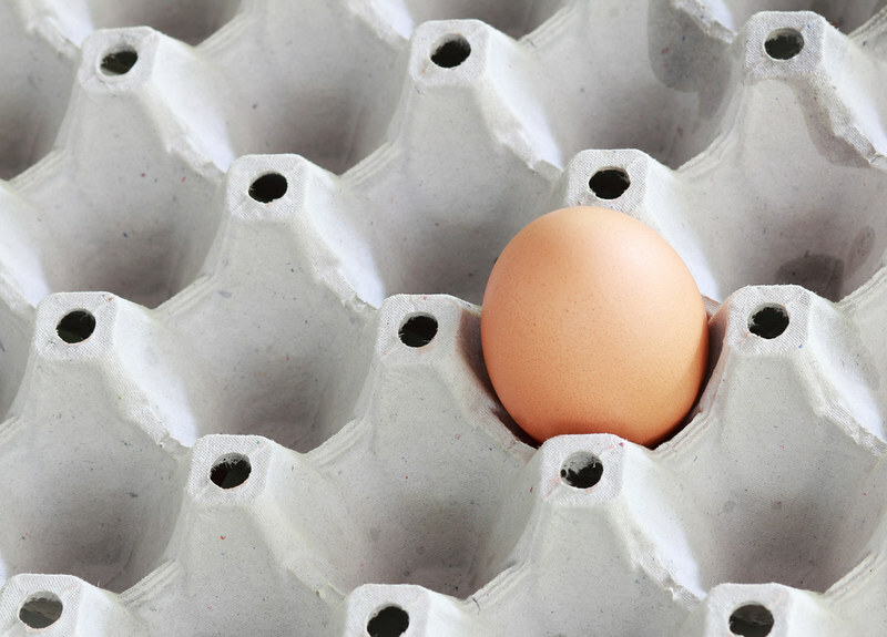 US desk egg manufacturing declines just about 1%