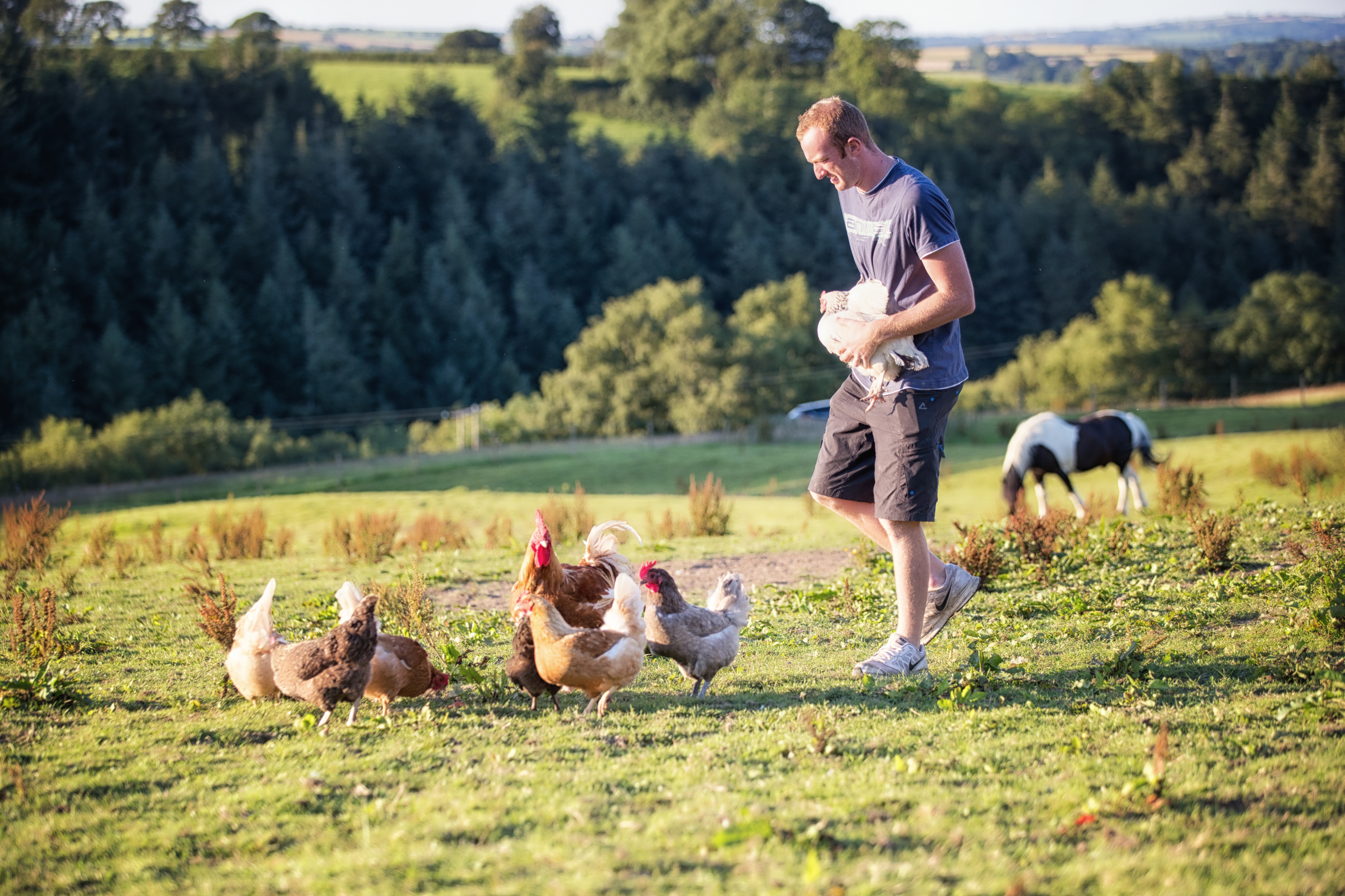 farmer with free range chickens