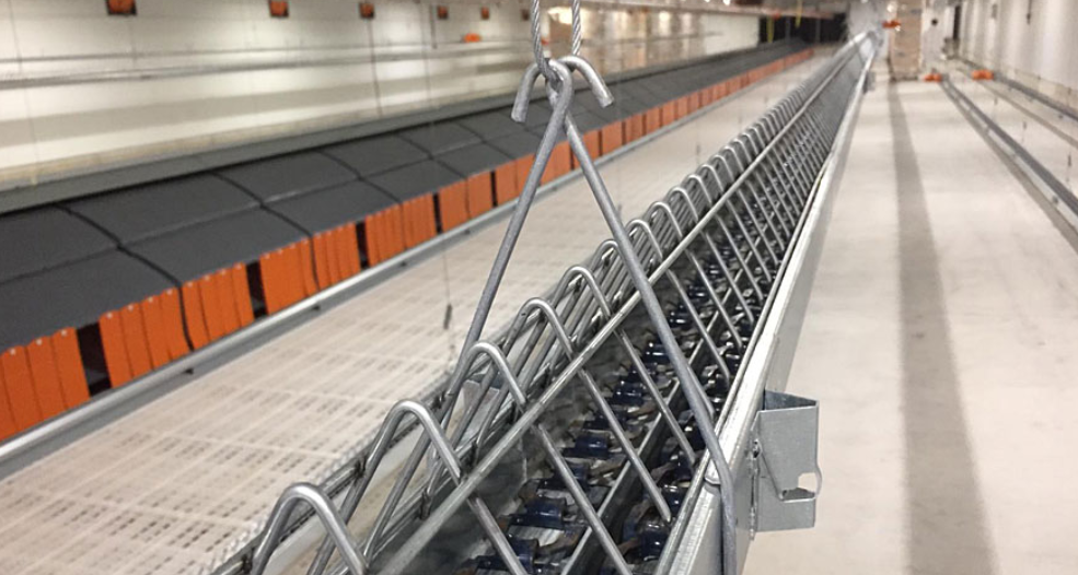 FeMain Chain feeding system inside an empty production house