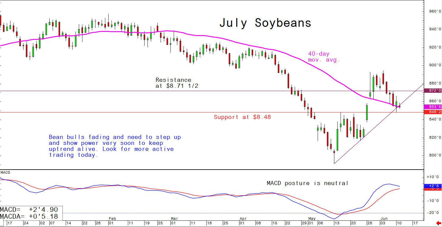 Bean bulls fading and need to step up and show power very soon to keep uptrend alive; look for more active trading today (11 June 2019)