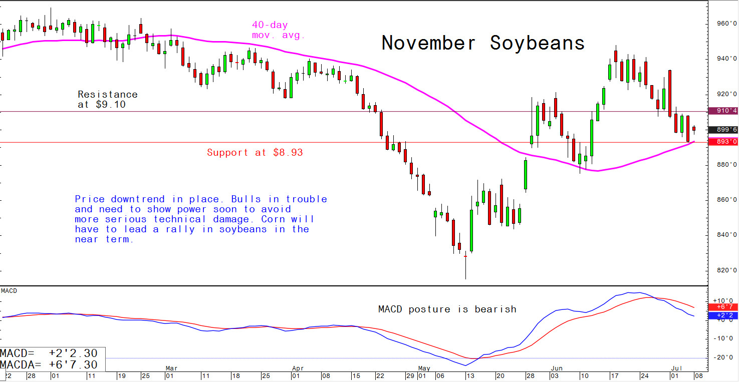 Price downtrend in place; bulls in trouble and need to show power soon to avoice more serious technical damage - corn will have to lead a rally in soybeans in the near term