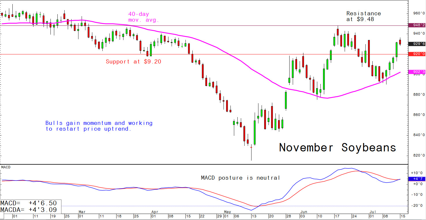 Bulls gain momentum and working to restart price uptrend