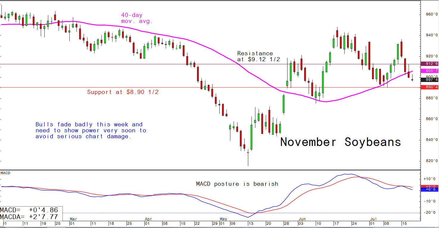 Bulls fade badly this week and need to show power very soon to avoid serious chart damage
