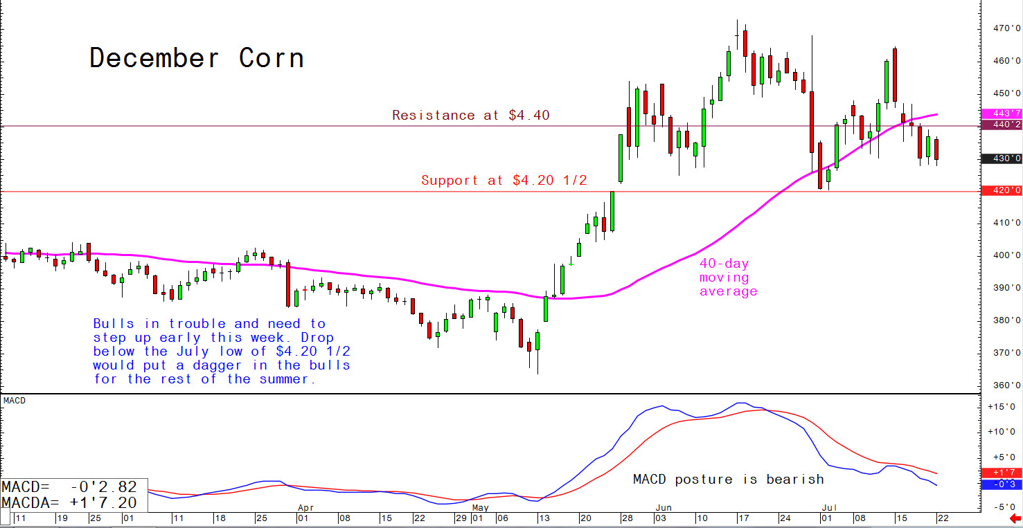 Bulls in trouble and need to step up early this week; drop below the July low of $4.20 1/2 would put a dagger in the bulls for the rest of the summer