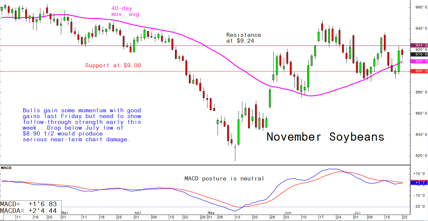 Bulls gain some momentum with good gains last Friday but need to show follow-through strength early this week; drop below July low of $8.90 1/2 would produce serious near-term chart damage