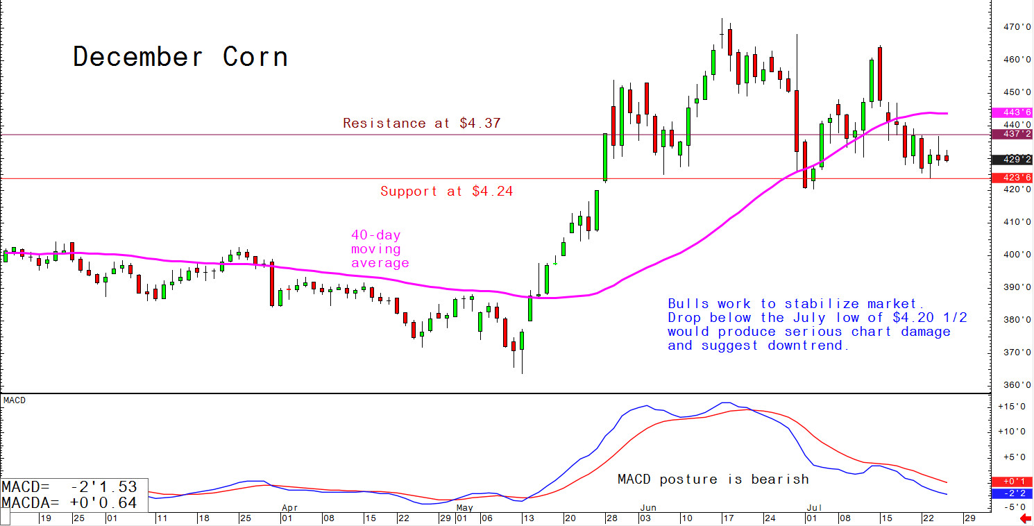 Bulls work to stabilise market; drop below the July low of $4.20 1/2 would produce serious chart damage and suggest downtrend