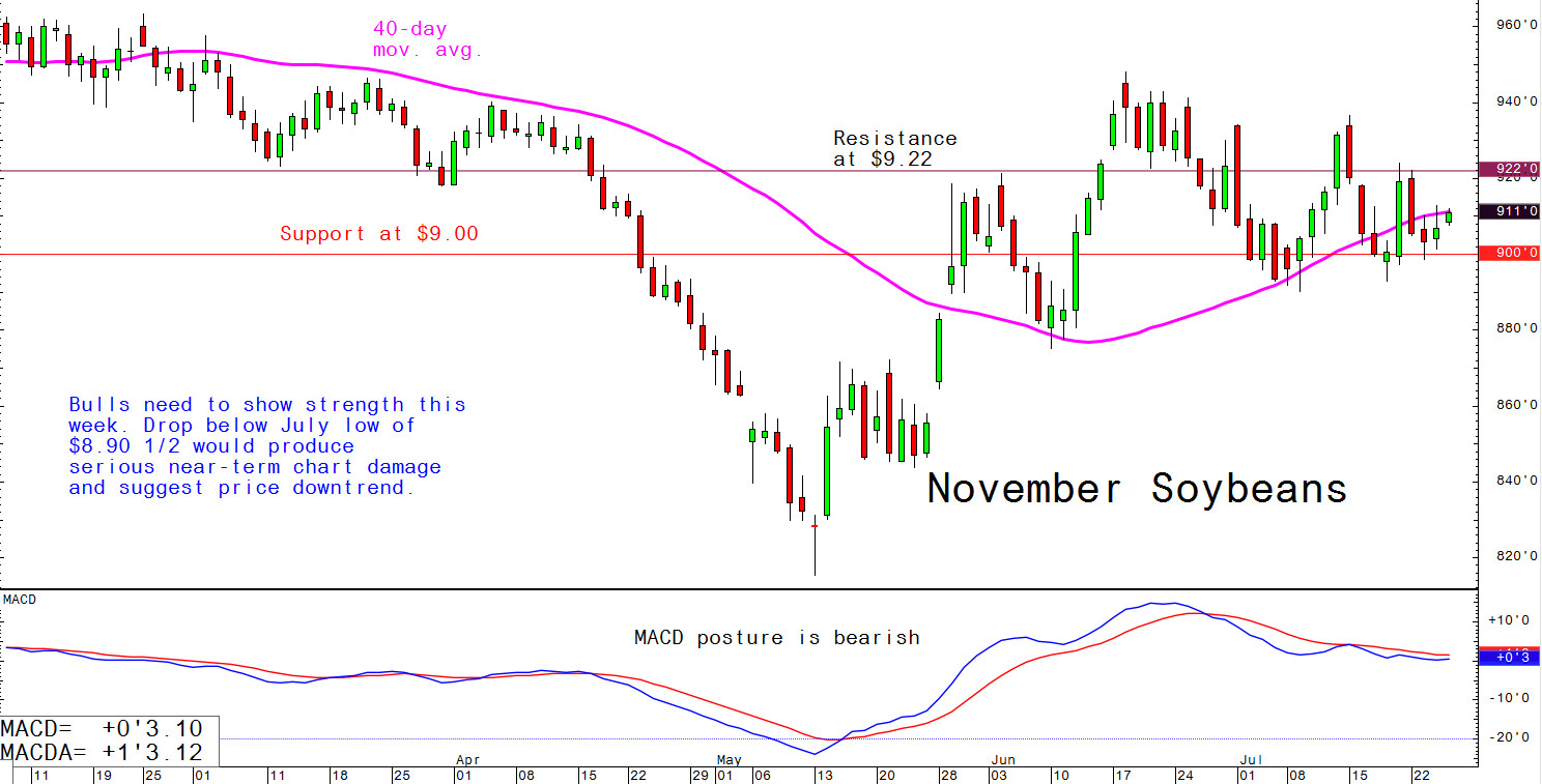 Bulls need to show strength this week; drop below July low of $8.90 1/2 would produce serious near-term chart damage and suggest price downtrend