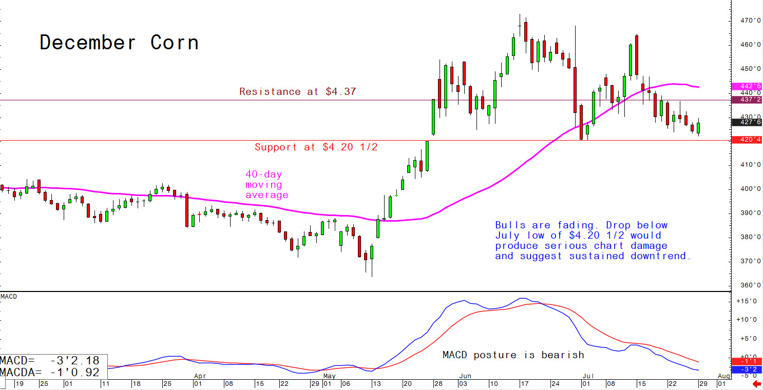 Bulls are fading; a drop below July's low of $4.20 1/2 would produce serious chart damage and suggest sustained downtrend