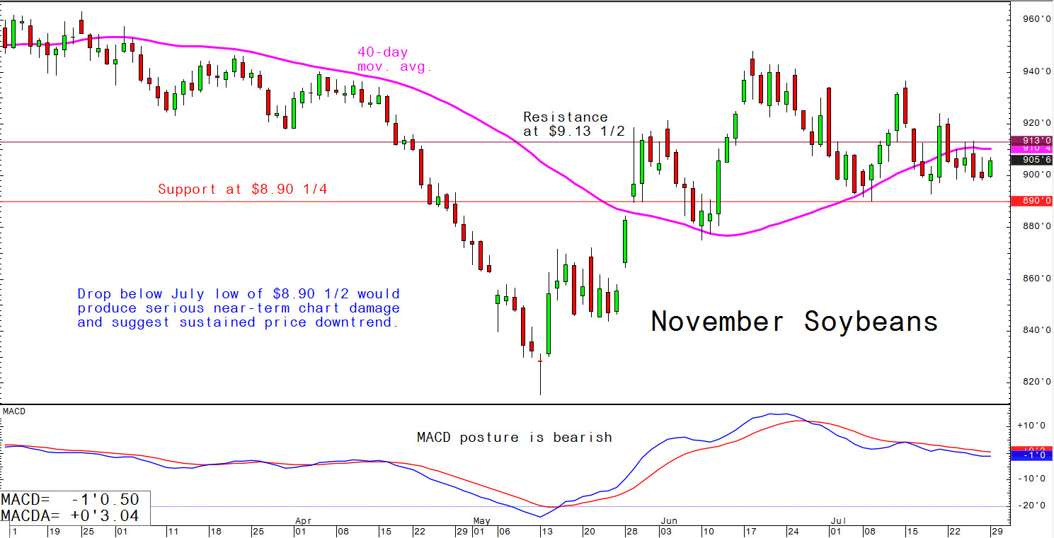 Drop below the July low of $8.90 1/2 would produce serious near-term chart damage and suggest sustained price downtrend