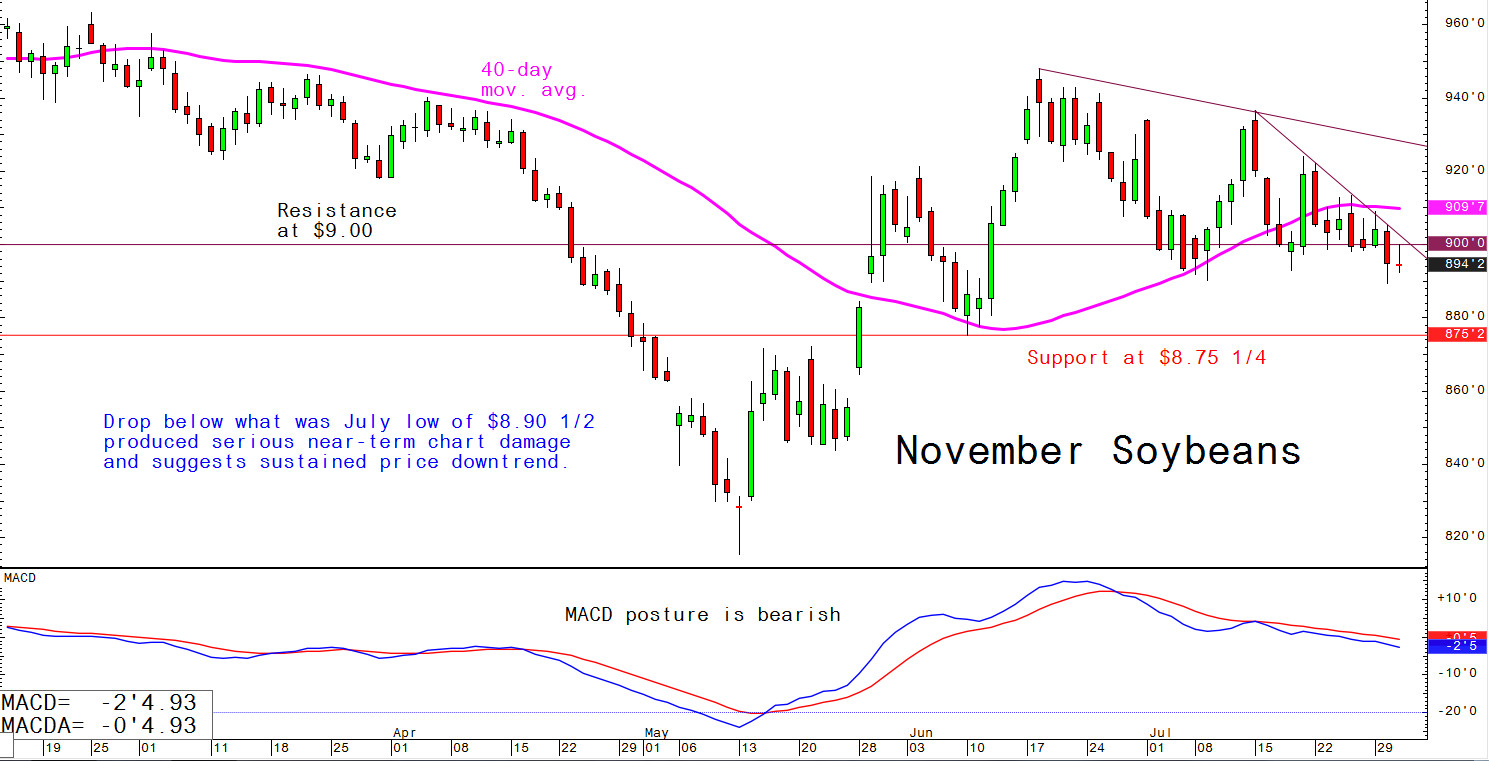 Drop below what was July low of $8.90 1/2 produced serious near-term chart damage and suggests sustained price downtrend