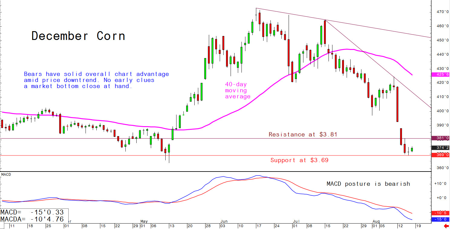 Bears have solid overall chart advantage amid price downtrend; no early clues a market bottom close at hand