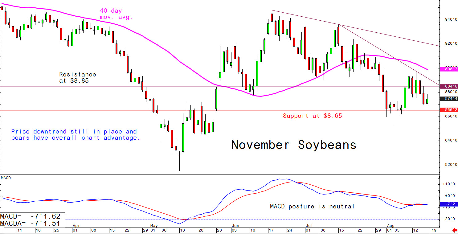 Price downtrend still in place and bears have overall chart advantage