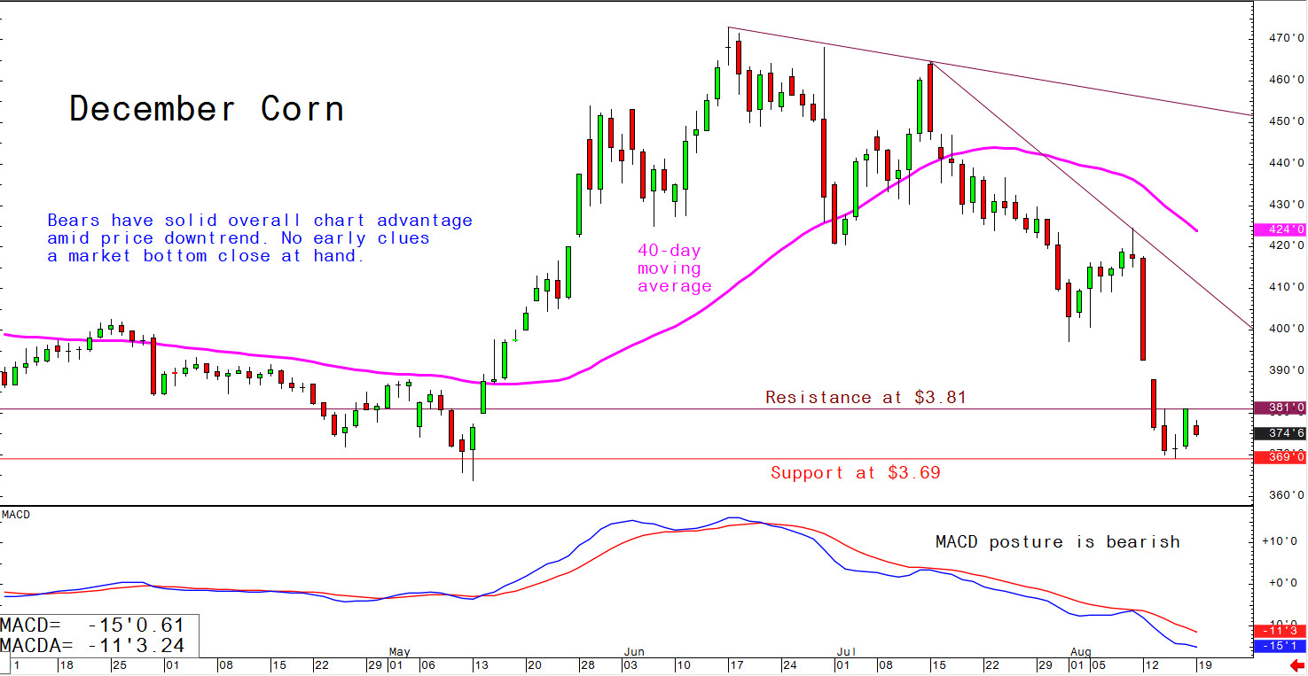 Bears have solid overall chart advantage amid price downtrend; no early clues a market bottom close at hand