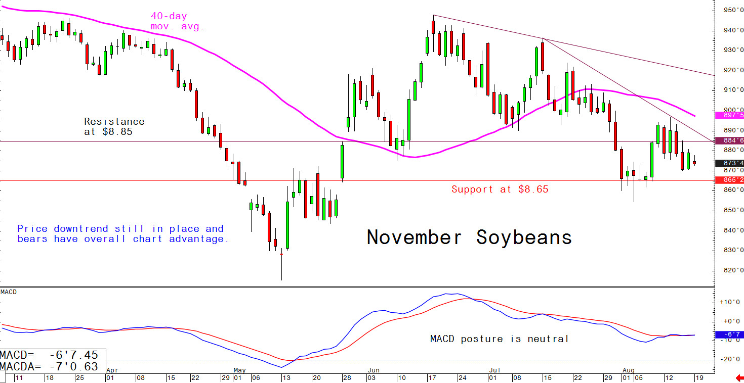 Price downtrend still in place and bears have overall chart advantage