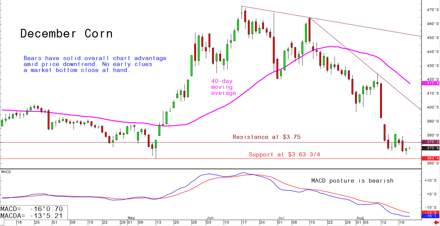 Bears have solid overall chart advantage amid price downtrend; no early clues a market bottom close at hand