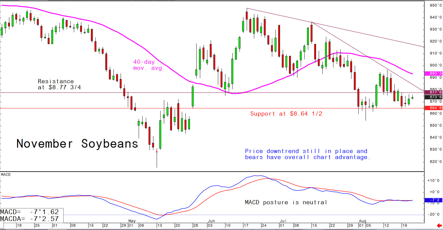 Price downtrend still in place and bears have overall chart advantage