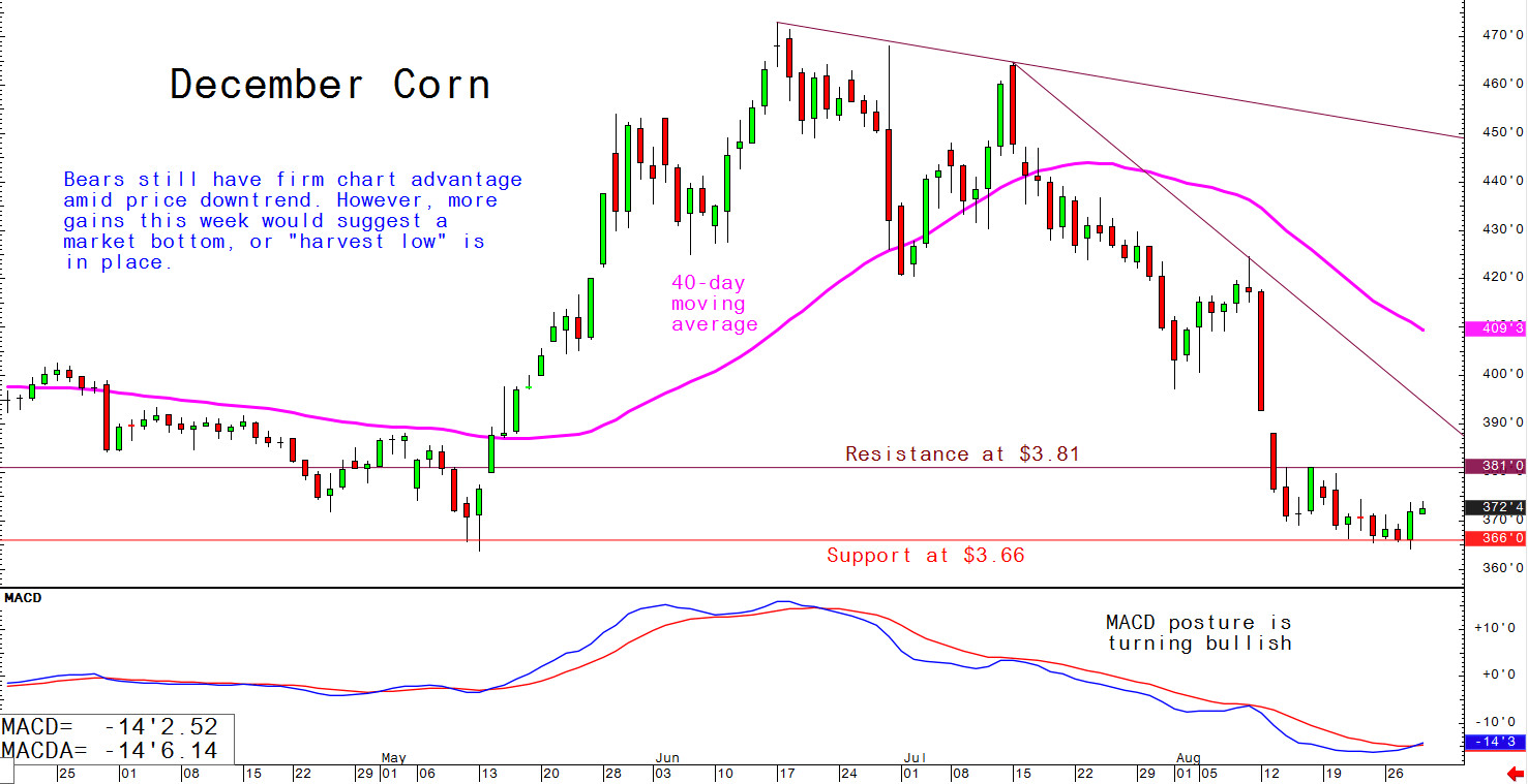 Bears still have firm chart advantage amid price downtrend, however, more gains this week would suggest a market bottom or "harvest low" is in place