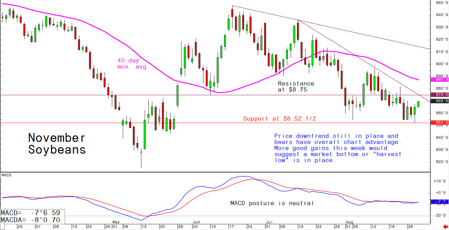 Price downtrend still in place and bears have overall chart advantage; more good gains this week would suggest a market bottom or "harvest low" is in place