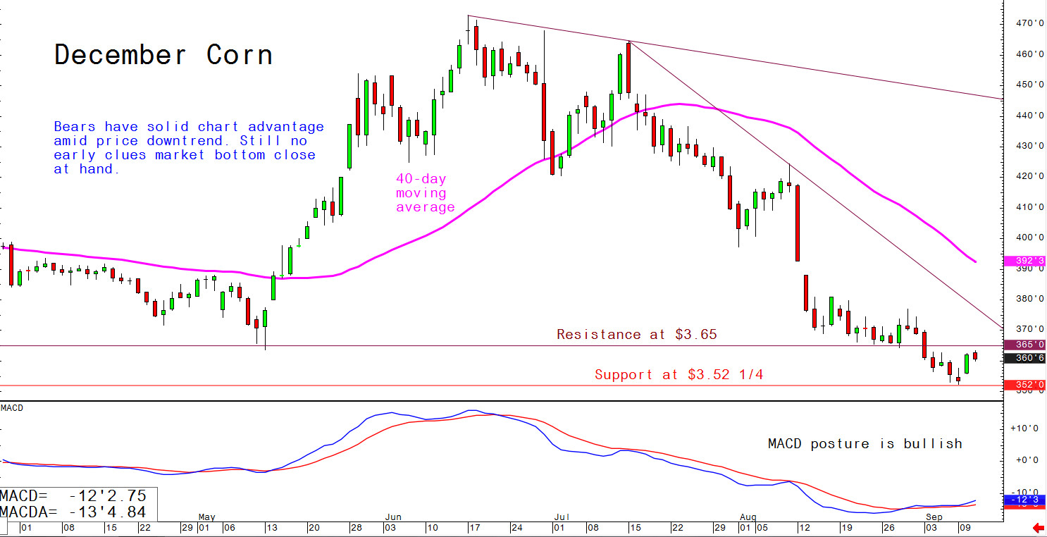 Bears have solid chart advantage amid price downtrend; still no early clues market bottom close at hand