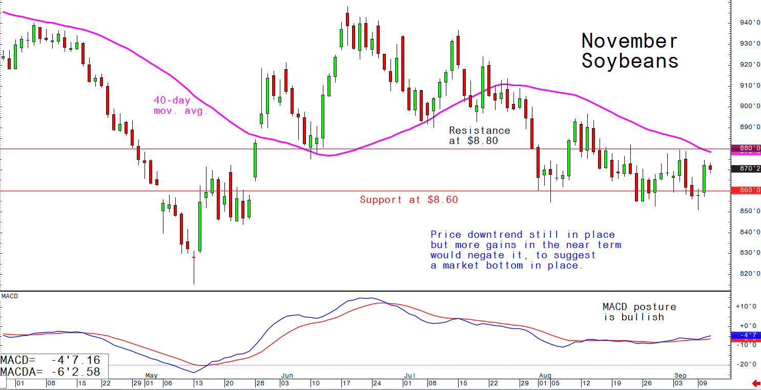 Price downtrend still in place but more gains in the near term would negate it to suggest a market bottom in place