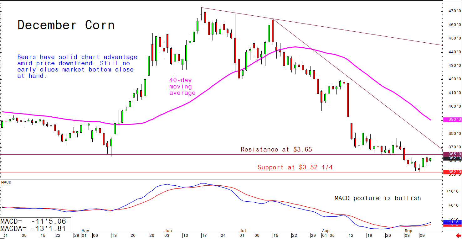 a graph showing a decline in corn market prices