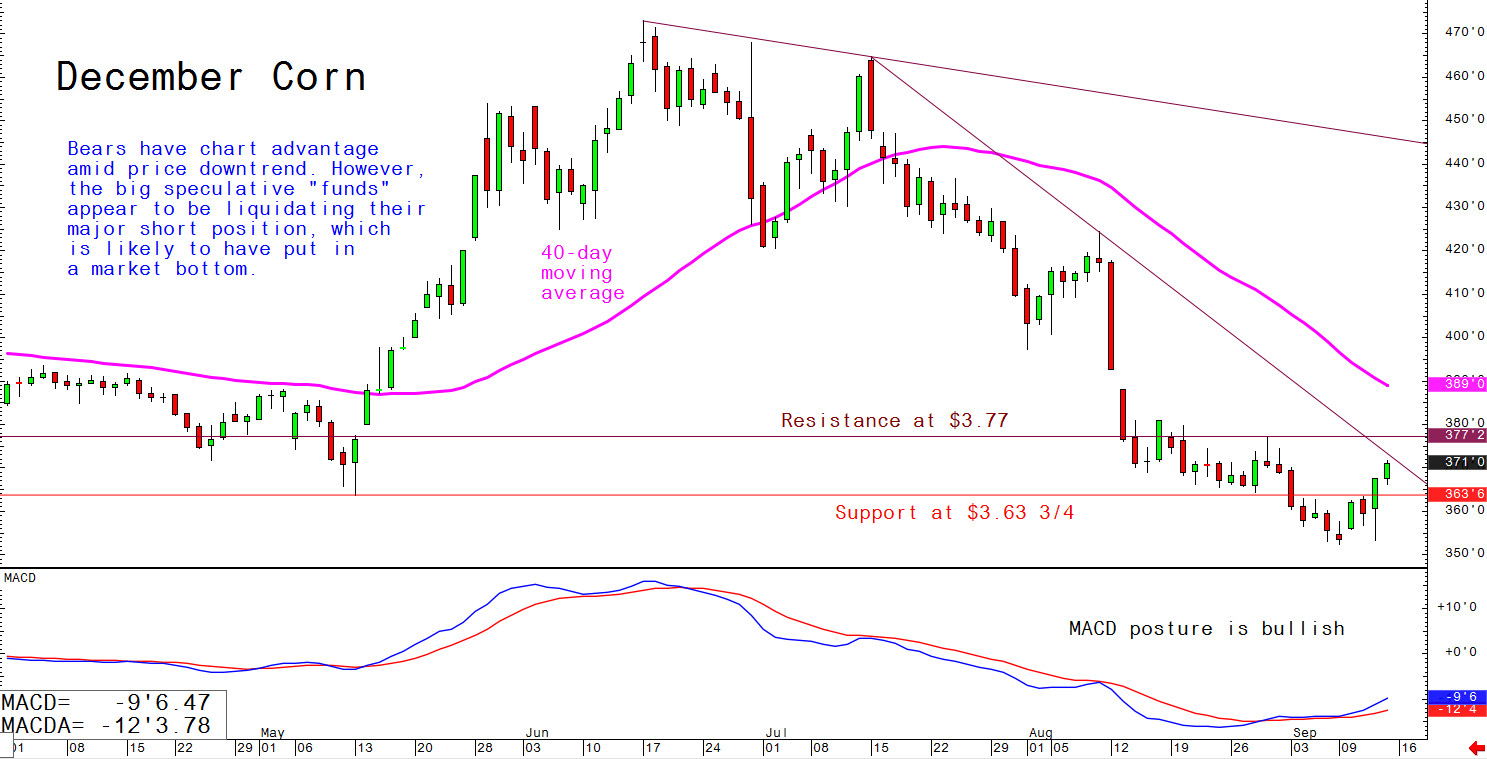 graph showing declining price of corn market prices