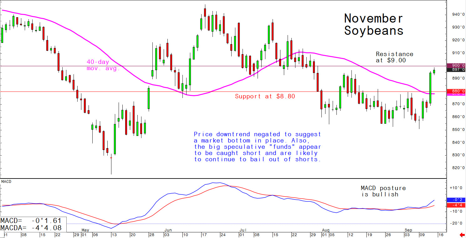 graph showing slow increase in soybean market prices