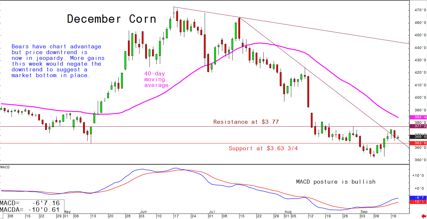 Bears have chart advantage but price downtrend is now in jeopardy; more gains this week would negate the downtrend to suggest a market bottom in place