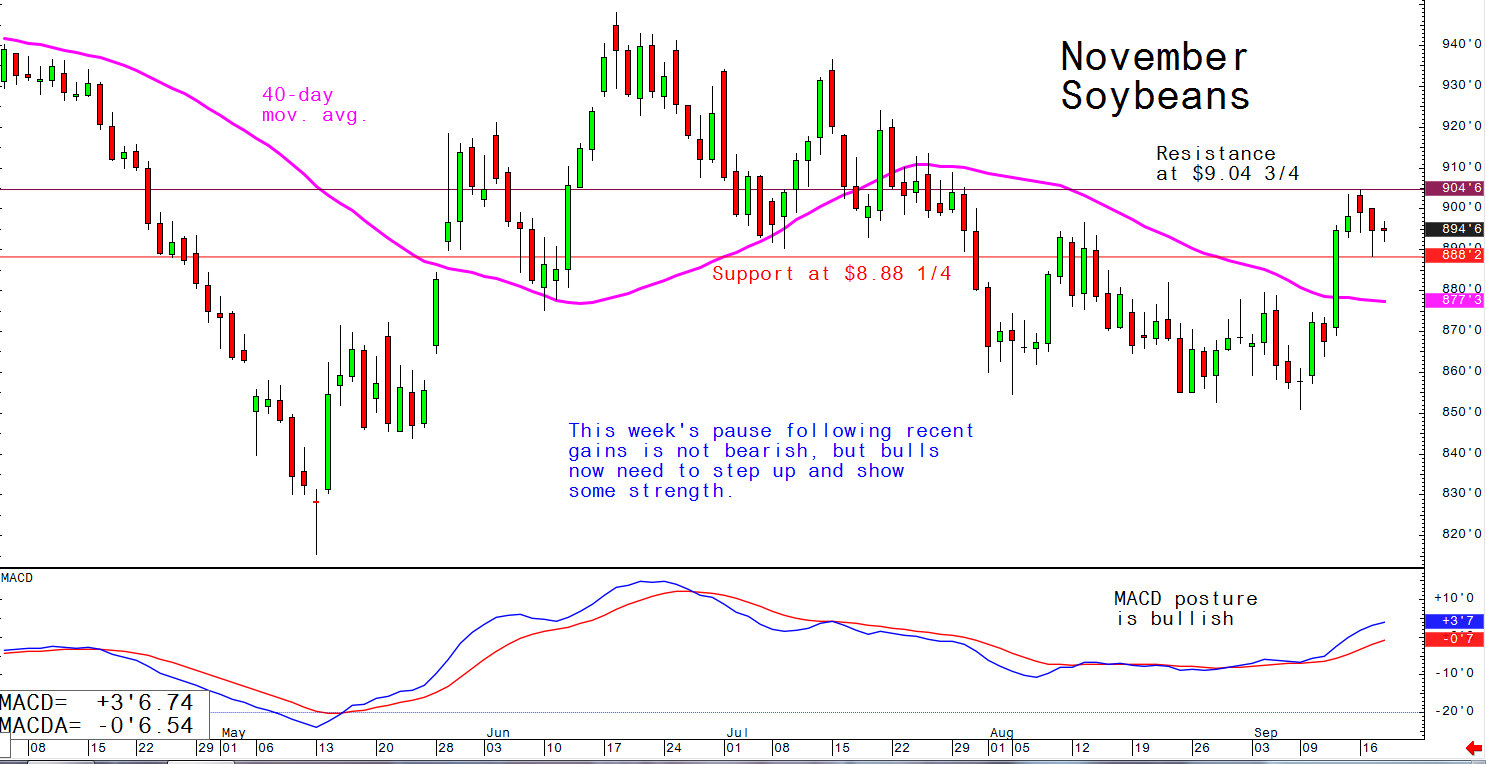 This week's pause following recent gains is not bearish, but bulls now need to step up and show some strength