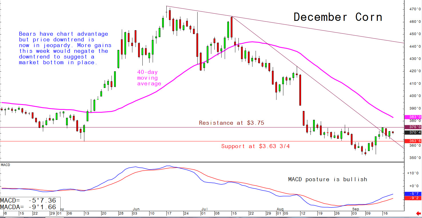 Bears have chart advantage but price downtrend is now in jeopardy; more gains this week would negate the downtrend to suggest a market bottom in place