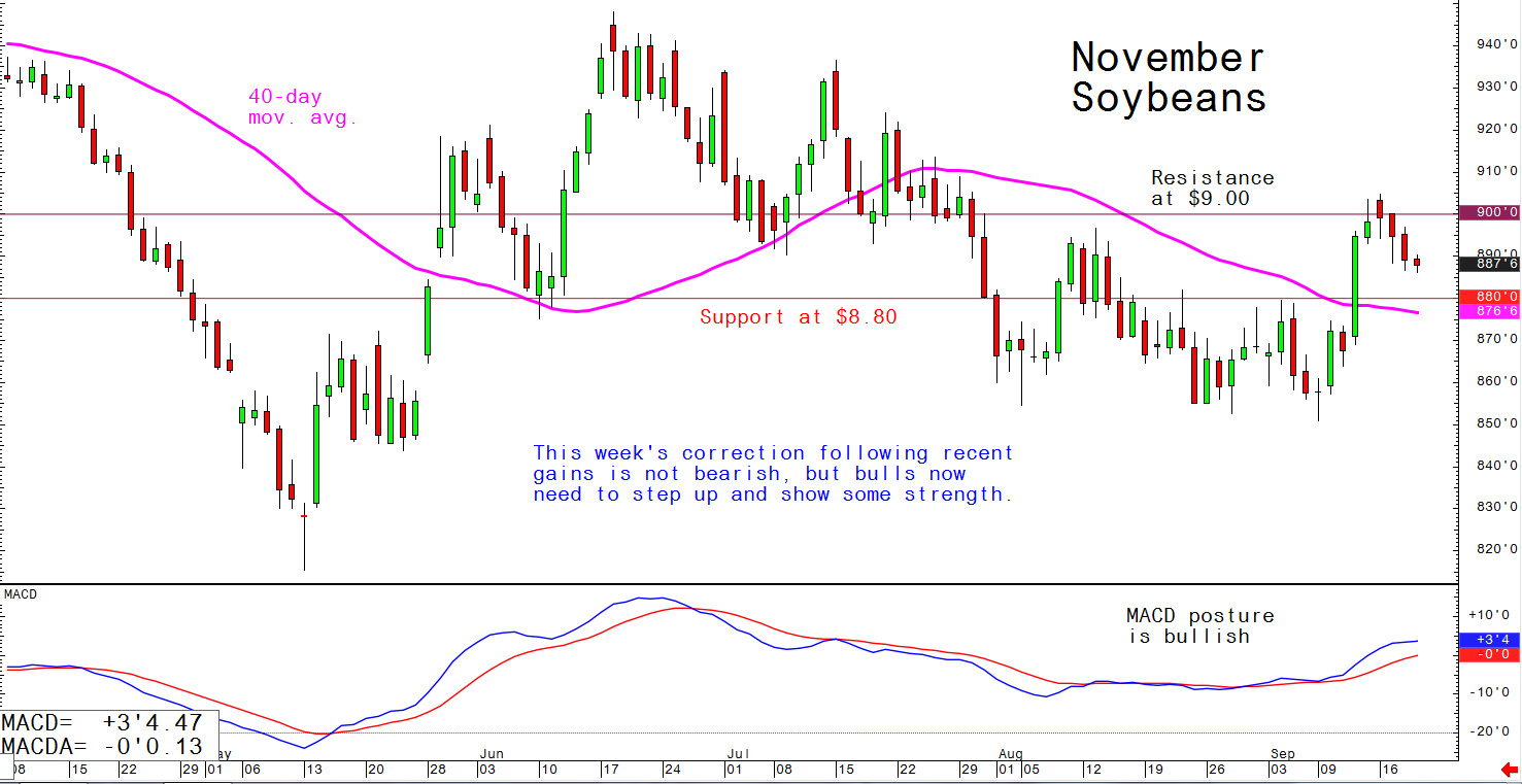 This week's correction following recent gains is not bearish, but bulls now need to step up and show some strength