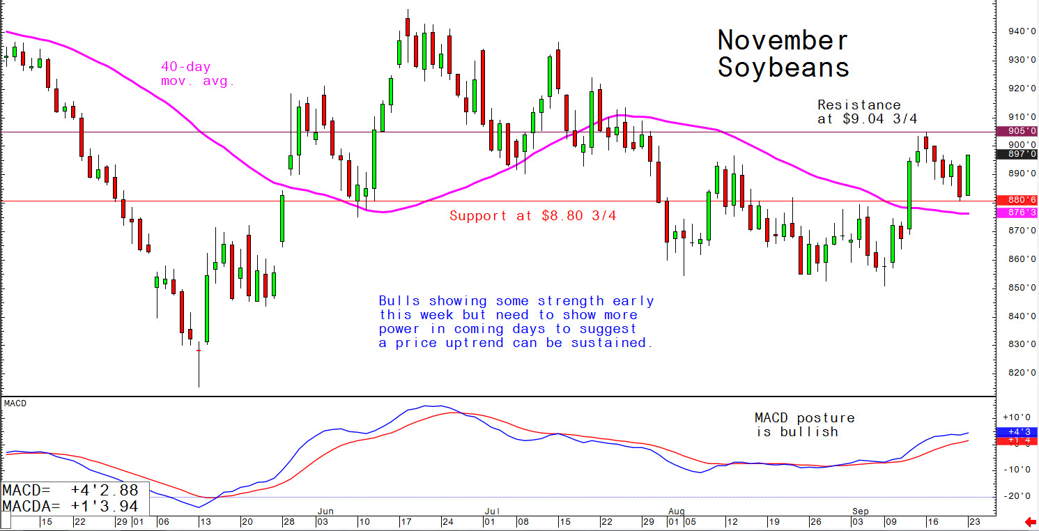 Bulls showing some strength early this week but need to show more power in coming days to suggest a price uptrend can be sustained