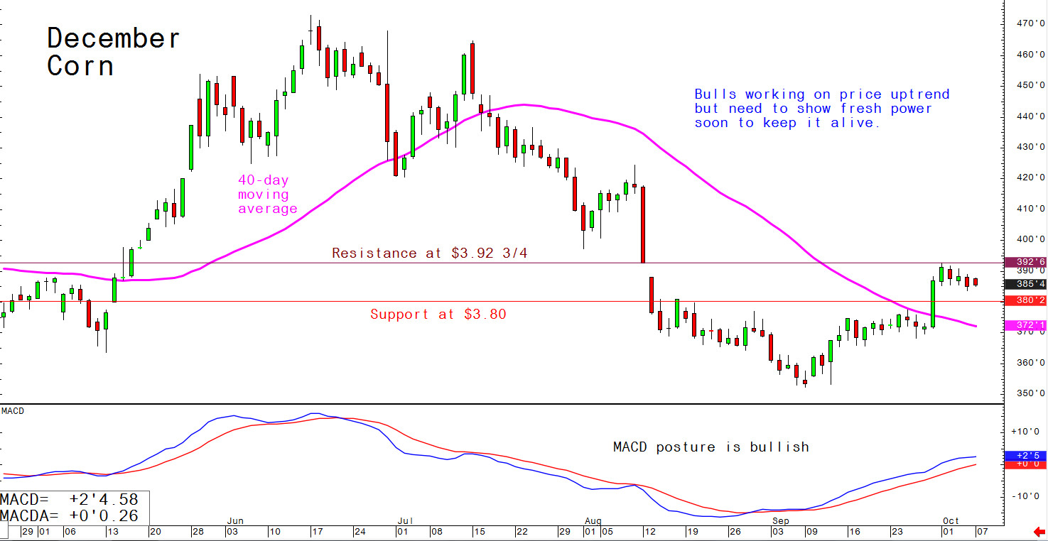 Bulls working on price uptrend but need to show fresh power soon to keep it alive