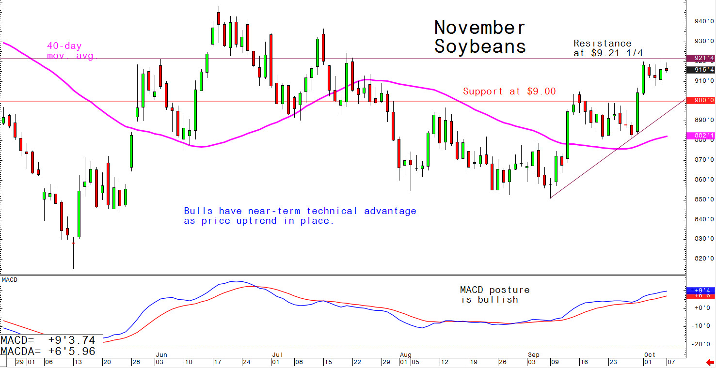 Bulls have near-term technical advantage as price uptrand in place