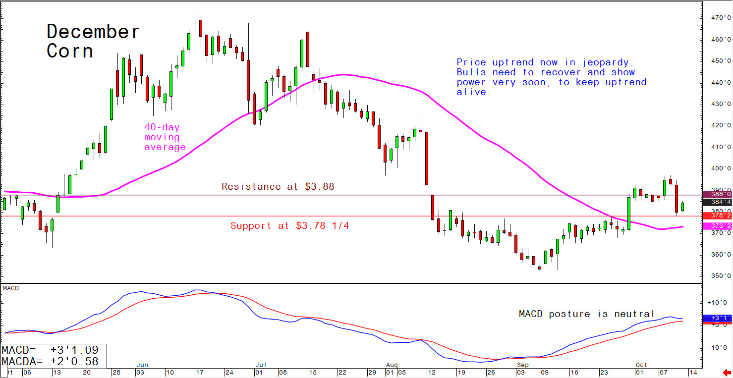 Price uptrend now in jeopardy; bulls need to recover and show power very soon to keep uptrend alive