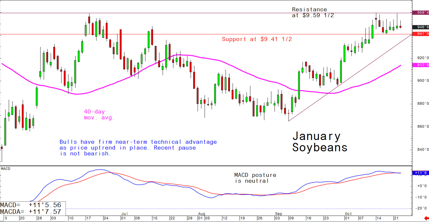 Bulls have near-term technical advantage as price uptrend in place; recent pause is not bearish