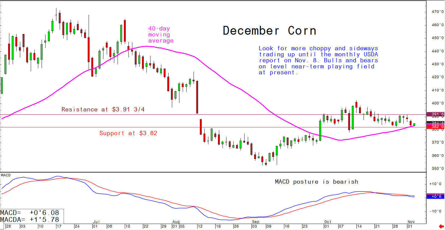 Look for more choppy and sideways trading up until the monthly USDA report on 8th November; bulls and bears on level near-term playing field at present