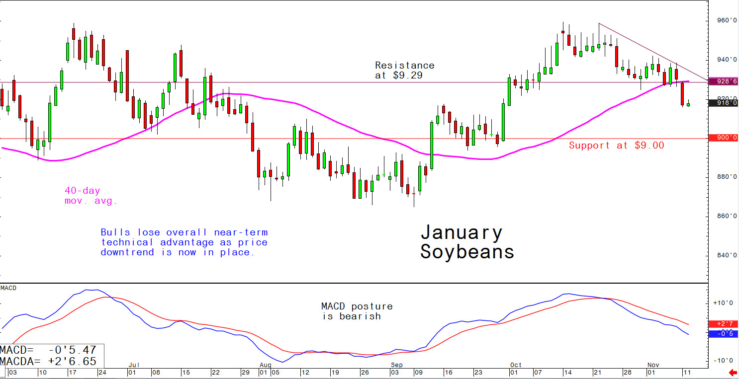 Bulls lose overall near-term technical advantage as price downtrend is now in place