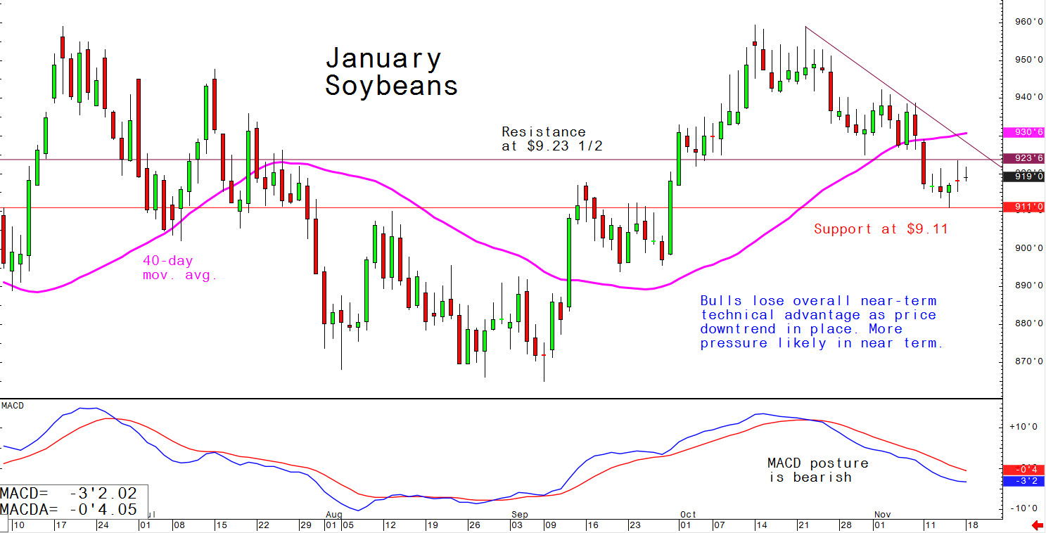 Bulls lose overall near-term technical advantage as price downtrend in place; more pressure likely in near term