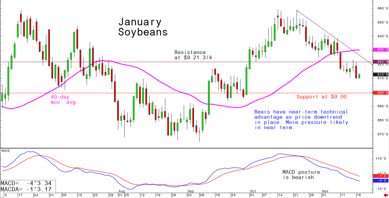 Bears have near-term technical advantage as price downtrend in place; more pressure likely in near term