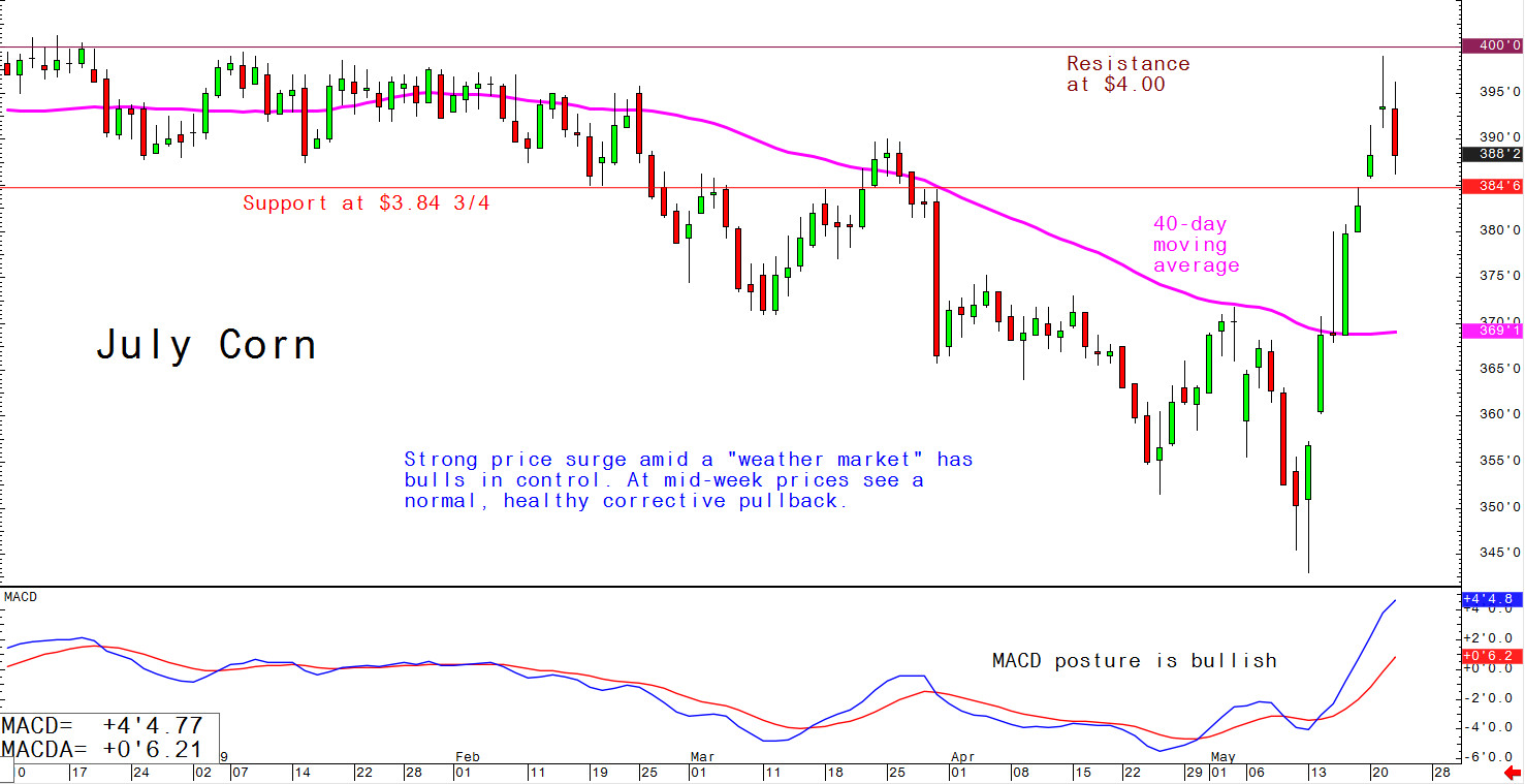 Strong price surge amid a "weather market" has bulls in control; at mid-work week, prices see a normal, healthy corrective pullback