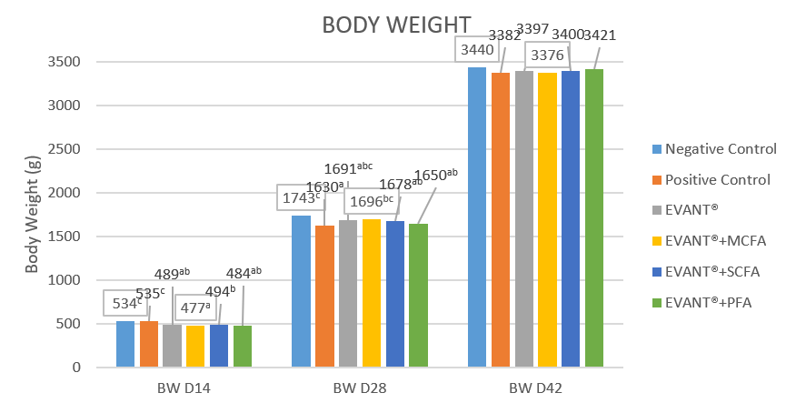 Graphic 3. Body Weight
