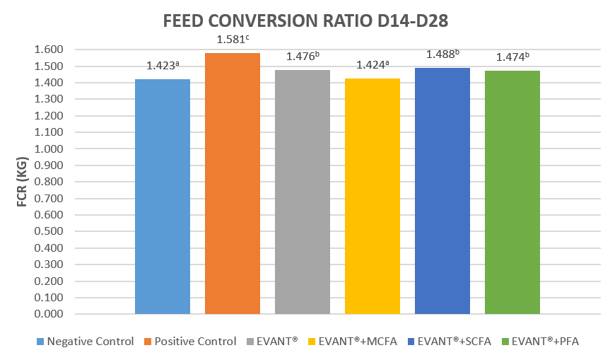 Graphic 4. Feed Conversion Ratio D14-D28