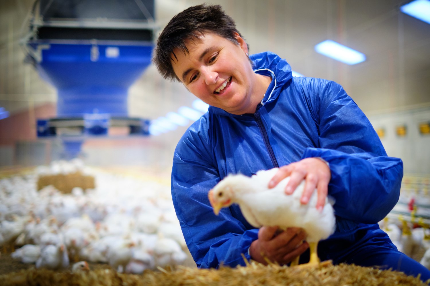 a woman wearing a blue cover-all suit holds a chicken