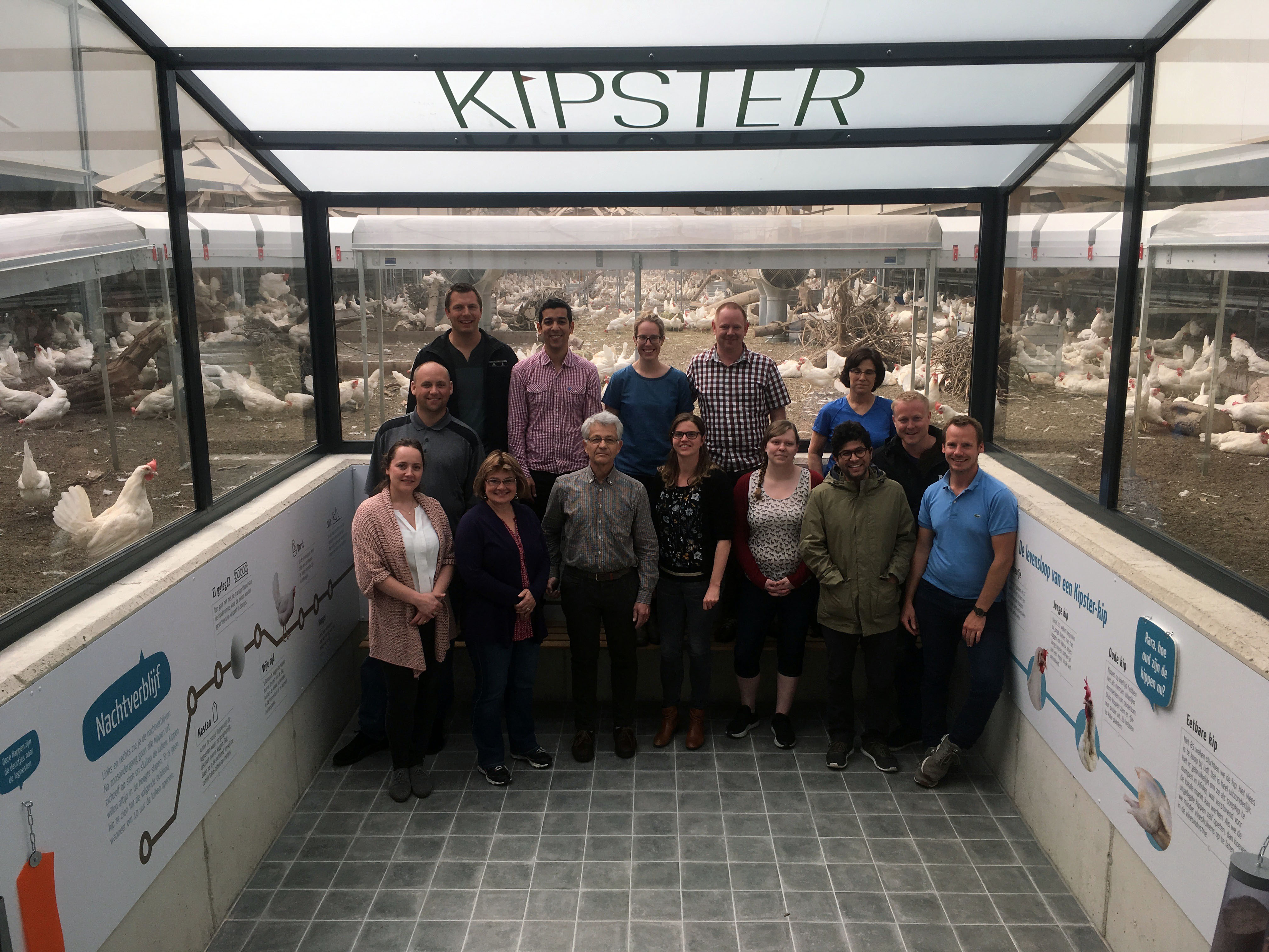 The European Layer Training Initiative, Kipster