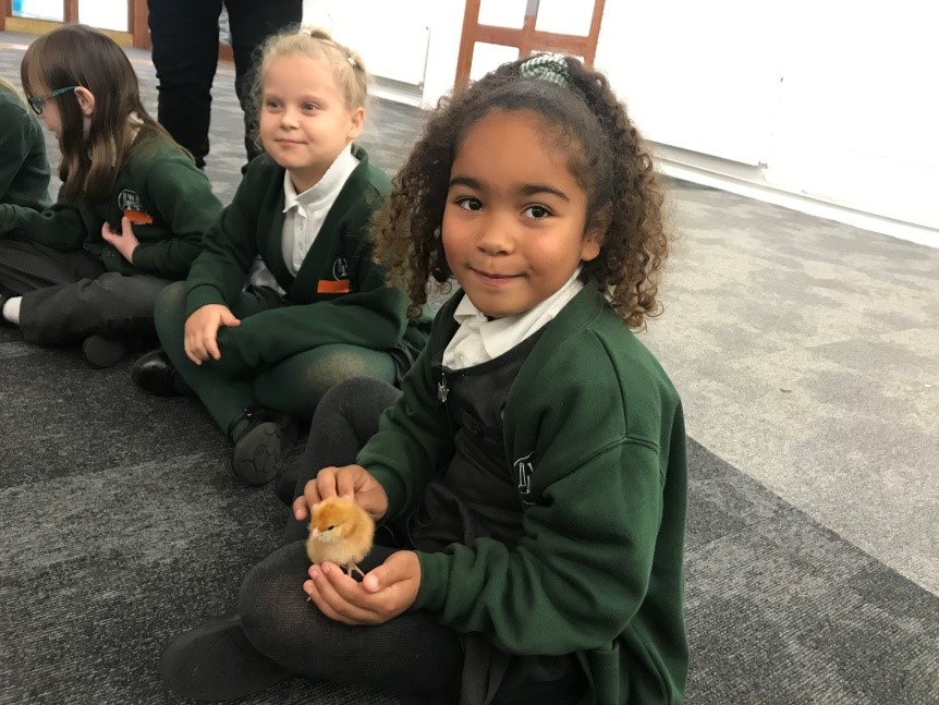 A child holds a chick