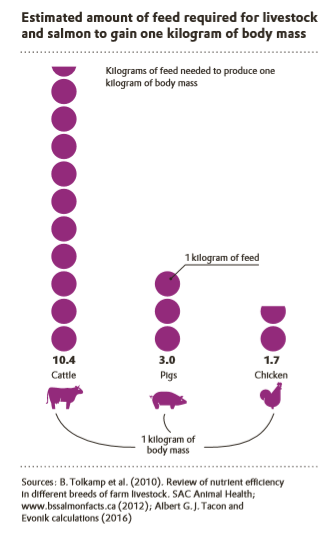 Figure 2: Compared to beef and pork, chicken can be produced with less resource input.