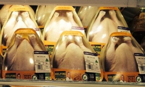 Whole chickens on a chilled grocery shelf